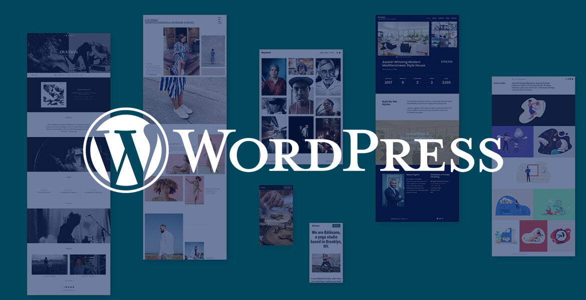 WordPress Web Sitesi Yapmak 4