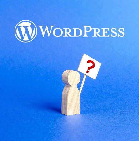 WordPress Web Sitesi Yapmak 5